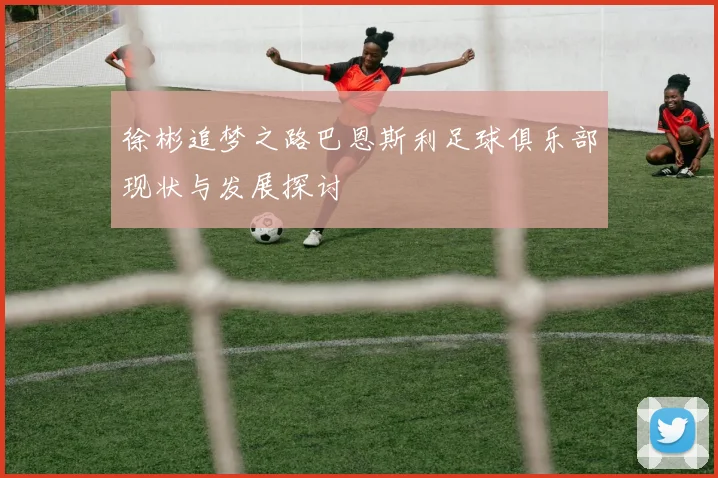 徐彬追梦之路巴恩斯利足球俱乐部现状与发展探讨