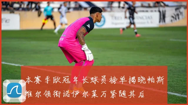 本赛季欧冠年长球员榜单揭晓帕斯维尔领衔诺伊尔莱万紧随其后