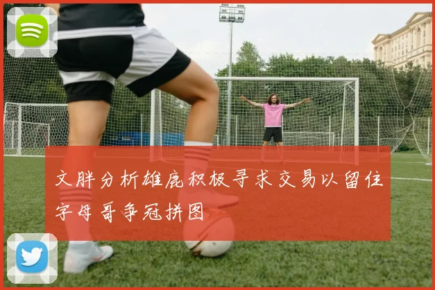 文胖分析雄鹿积极寻求交易以留住字母哥争冠拼图